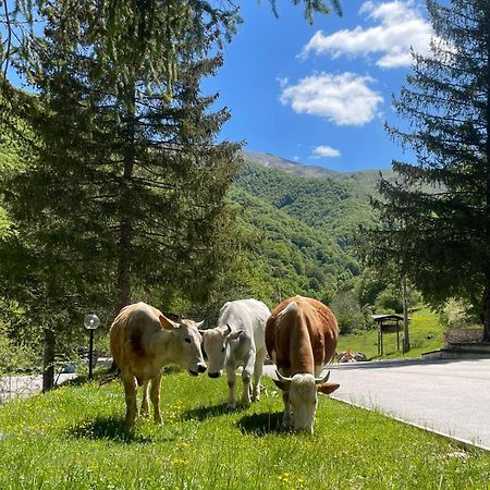 Hotel Campo Stella Leonessa Εξωτερικό φωτογραφία